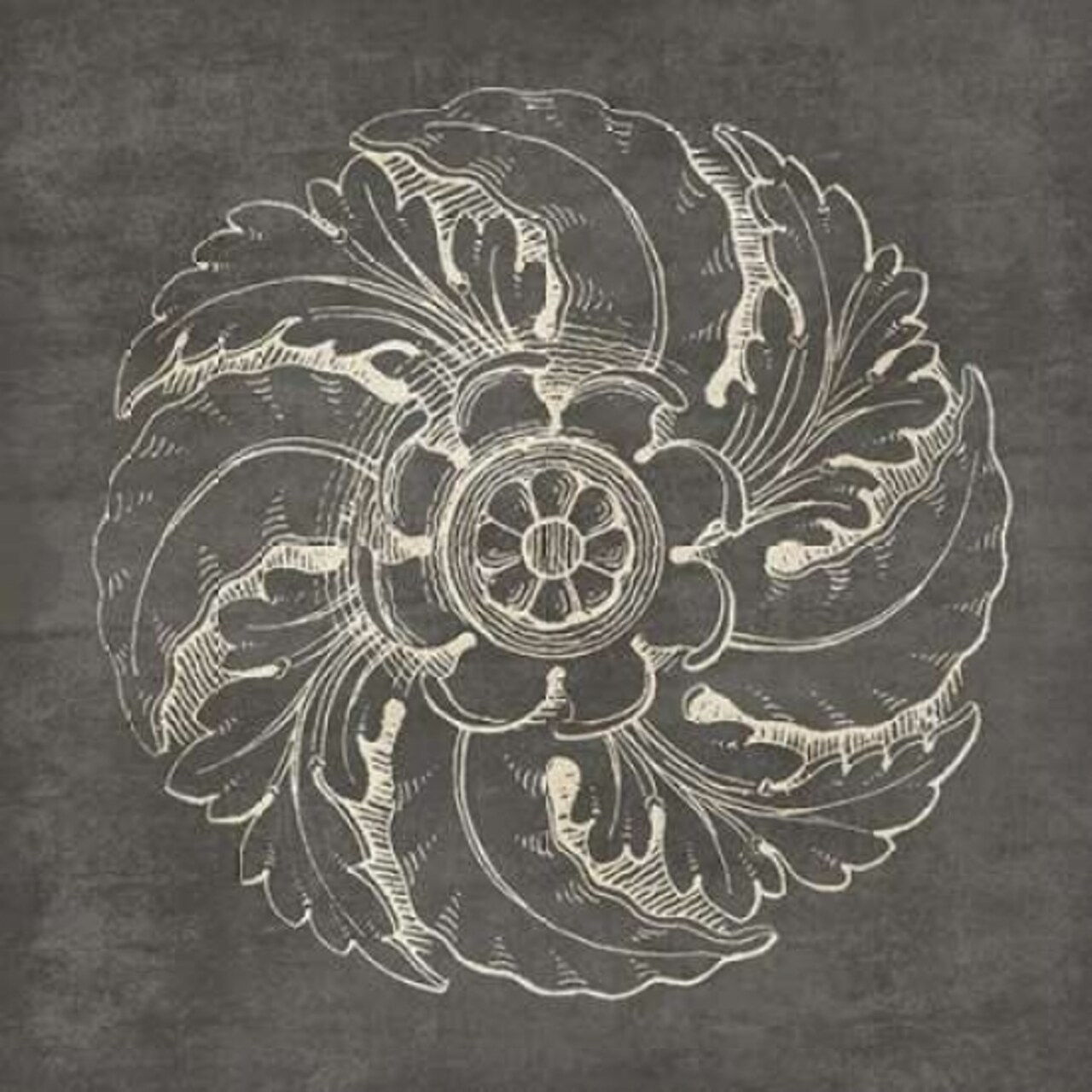 Rosette IV Gray Poster Print by Wild Apple Portfolio - Item # VARPDX21576